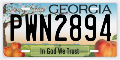 GA license plate PWN2894