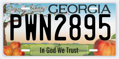 GA license plate PWN2895