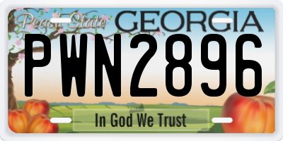 GA license plate PWN2896