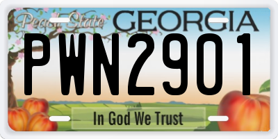 GA license plate PWN2901