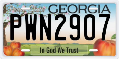 GA license plate PWN2907