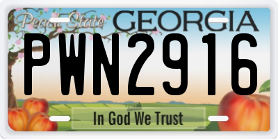 GA license plate PWN2916