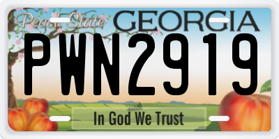 GA license plate PWN2919