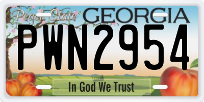 GA license plate PWN2954