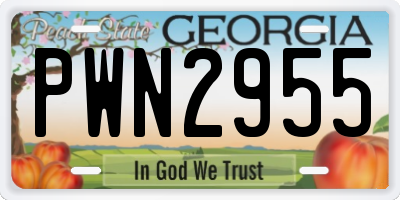 GA license plate PWN2955