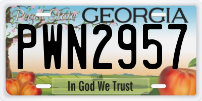 GA license plate PWN2957