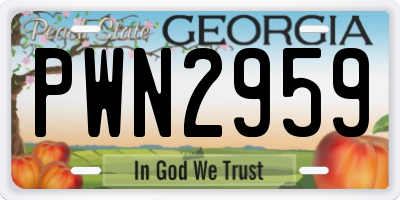 GA license plate PWN2959