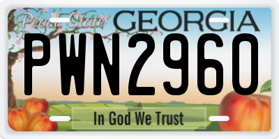 GA license plate PWN2960