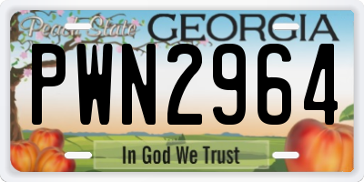GA license plate PWN2964