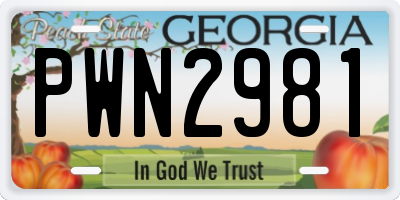 GA license plate PWN2981