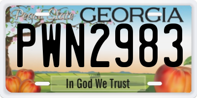 GA license plate PWN2983