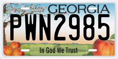 GA license plate PWN2985