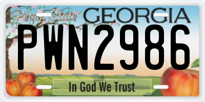 GA license plate PWN2986
