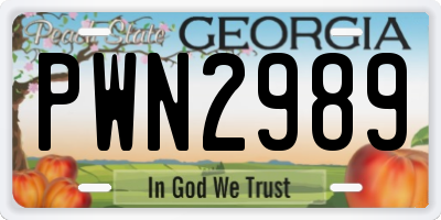 GA license plate PWN2989