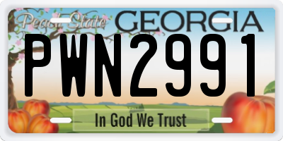 GA license plate PWN2991