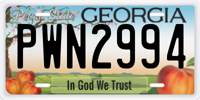 GA license plate PWN2994