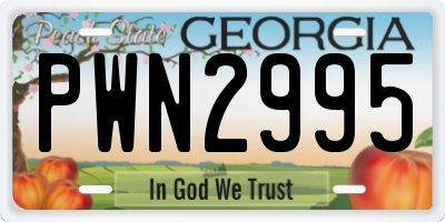 GA license plate PWN2995