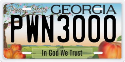 GA license plate PWN3000