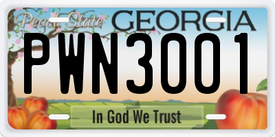 GA license plate PWN3001