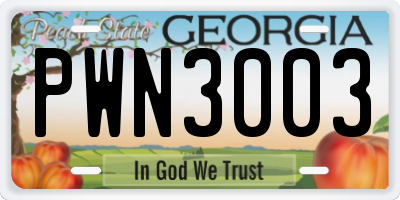 GA license plate PWN3003