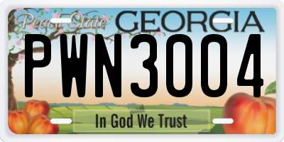 GA license plate PWN3004