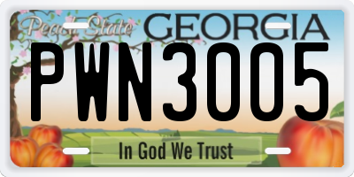 GA license plate PWN3005