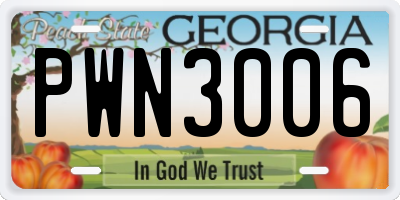 GA license plate PWN3006