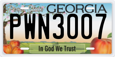 GA license plate PWN3007