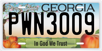 GA license plate PWN3009