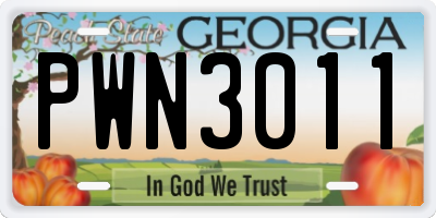 GA license plate PWN3011