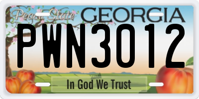 GA license plate PWN3012