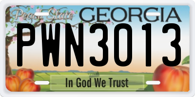 GA license plate PWN3013
