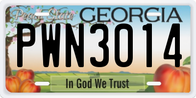 GA license plate PWN3014