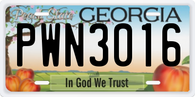GA license plate PWN3016