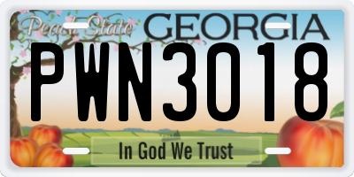 GA license plate PWN3018