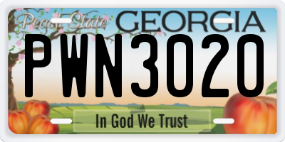 GA license plate PWN3020