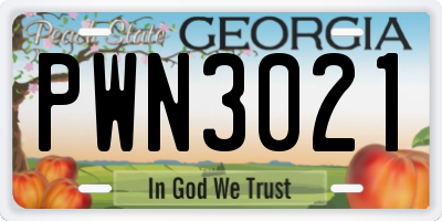 GA license plate PWN3021