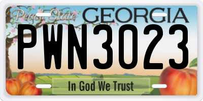 GA license plate PWN3023