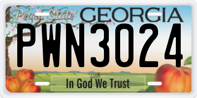 GA license plate PWN3024
