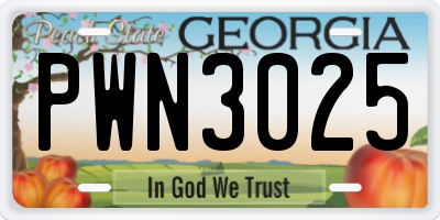 GA license plate PWN3025