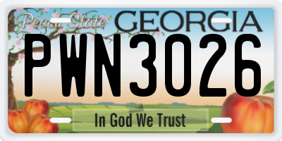 GA license plate PWN3026