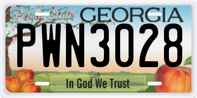 GA license plate PWN3028