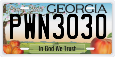 GA license plate PWN3030