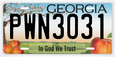GA license plate PWN3031