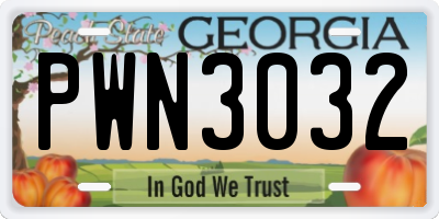 GA license plate PWN3032