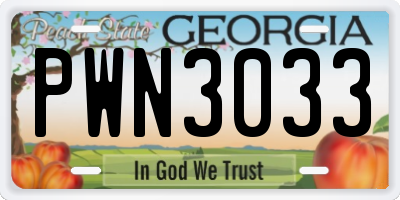 GA license plate PWN3033