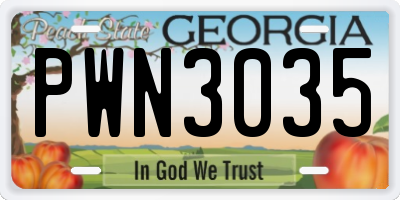 GA license plate PWN3035