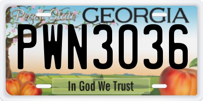 GA license plate PWN3036