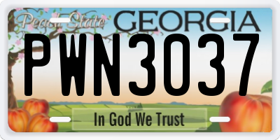 GA license plate PWN3037