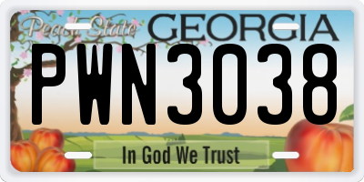 GA license plate PWN3038
